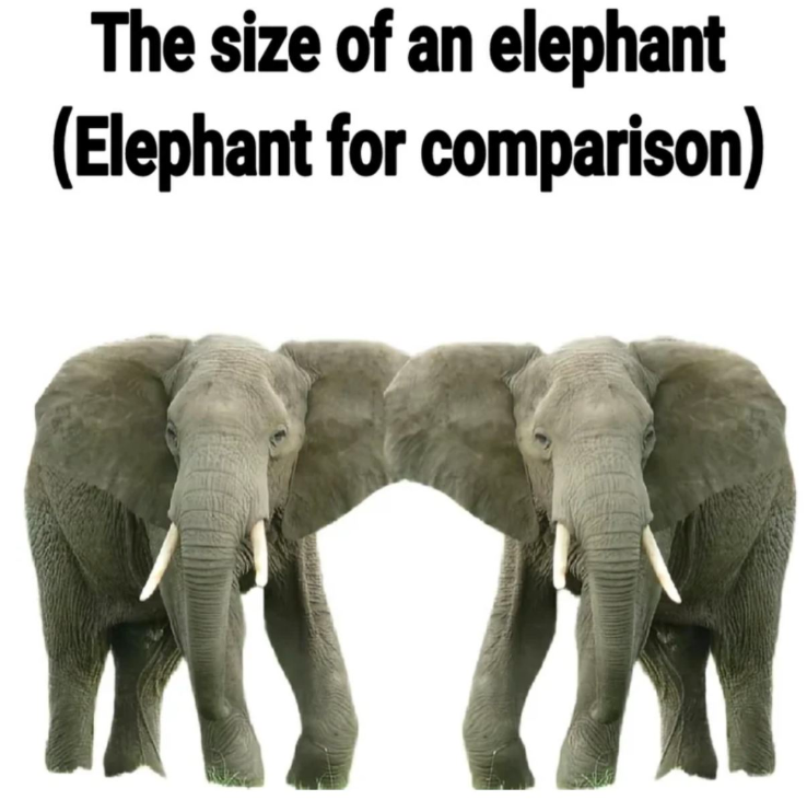The size of an elephant (Elephant for comparison)