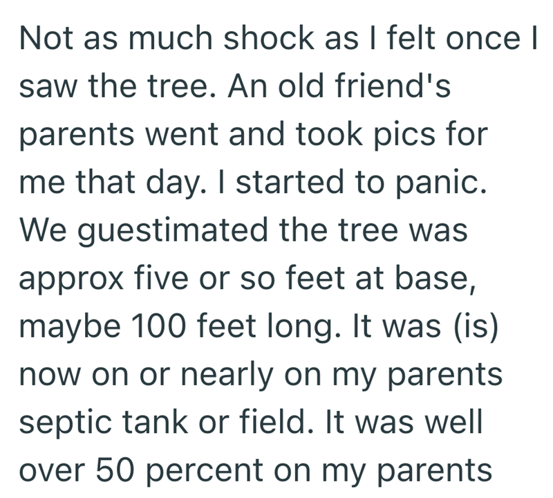 Not as much shock as I felt once I saw the tree. An old friend's parents went and took pics for me that day. I started to panic. We guestimated the tree was approx five or so feet at base, maybe 100 feet long. It was (is) now on or nearly on my parents septic tank or field. It was well over 50 percent on my parents