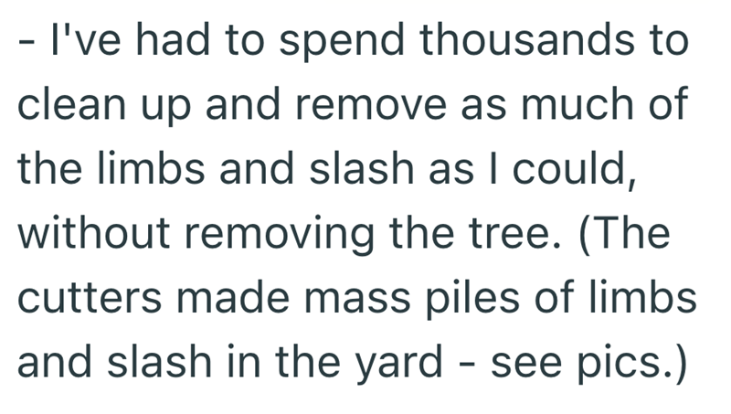 - I've had to spend thousands to clean up and remove as much of the limbs and slash as I could, without removing the tree. (The cutters made mass piles of limbs and slash in the yard - see pics.)