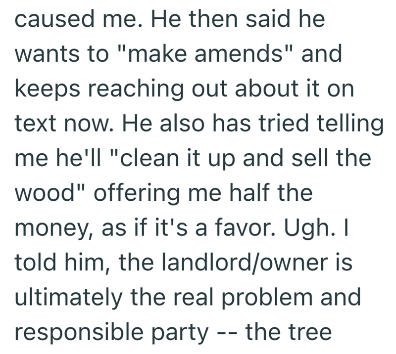 caused me. He then said he wants to "make amends" and keeps reaching out about it on text now. He also has tried telling me he'll "clean it up and sell the wood" offering me half the money, as if it's a favor. Ugh. I told him, the landlord/owner is ultimately the real problem and responsible party -- the tree