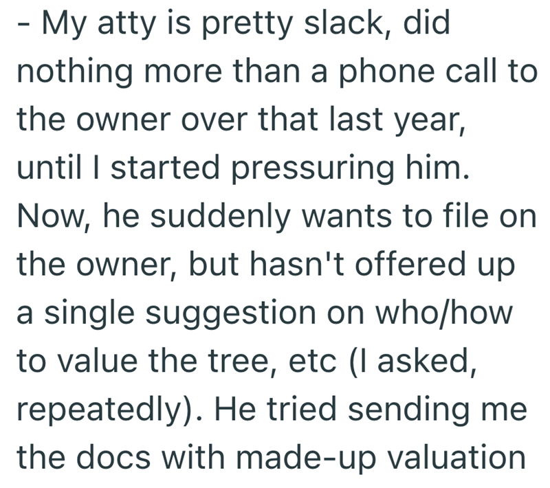 - My atty is pretty slack, did nothing more than a phone call to the owner over that last year, until I started pressuring him. Now, he suddenly wants to file on the owner, but hasn't offered up a single suggestion on who/how to value the tree, etc (I asked, repeatedly). He tried sending me the docs with made-up valuation