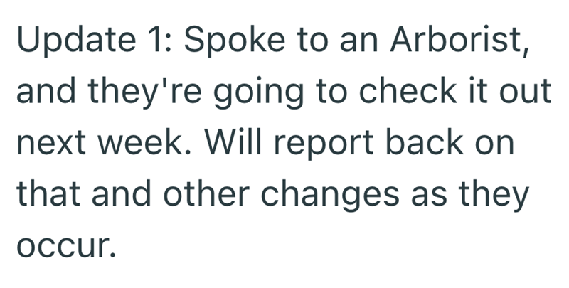 Update 1: Spoke to an Arborist, and they're going to check it out next week. Will report back on that and other changes as they occur.