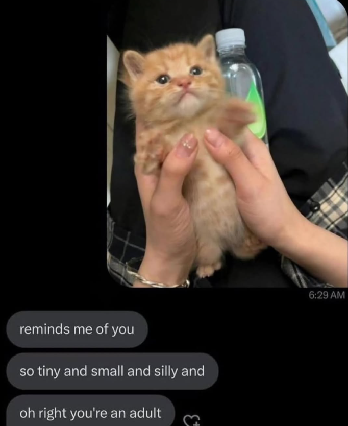 reminds me of you so tiny and small and silly and oh right you're an adult 6:29 AM