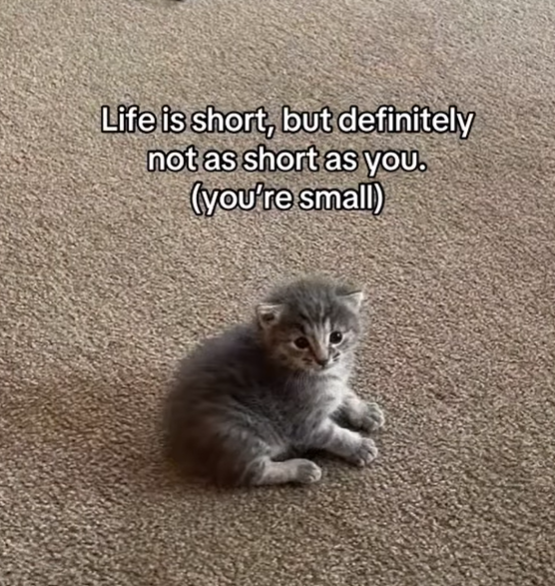 Life is short, but definitely not as short as you. (you're small)