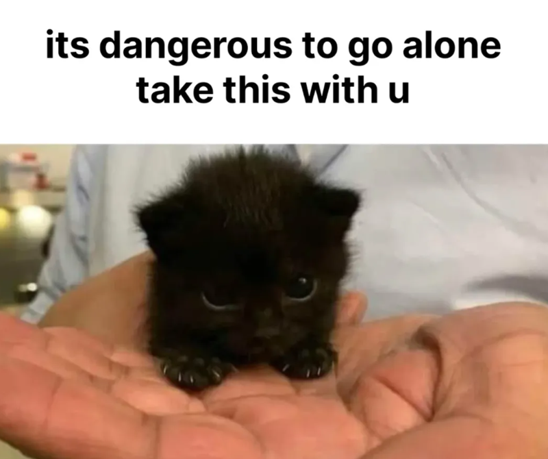 its dangerous to go alone take this with u