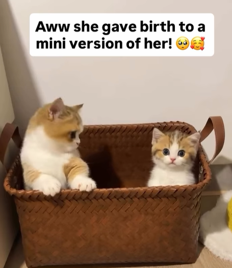 Aww she gave birth to a mini version of her! →