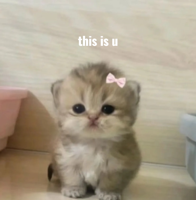 this is u