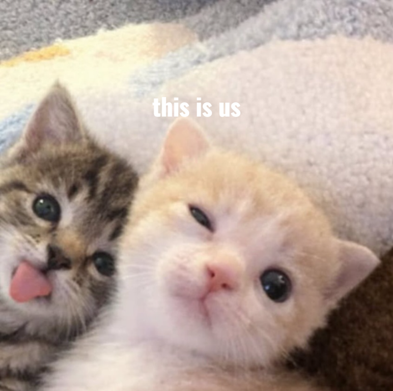 this is us
