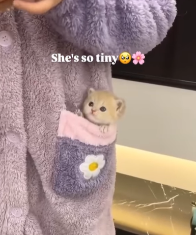 She's so tiny