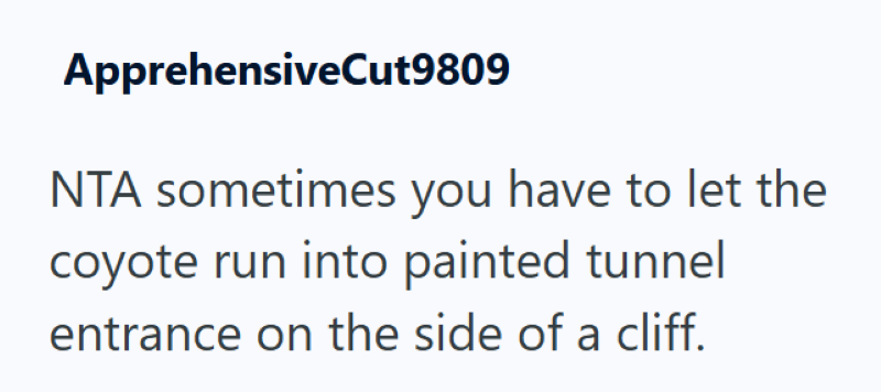 ApprehensiveCut9809 NTA sometimes you have to let the coyote run into painted tunnel entrance on the side of a cliff.