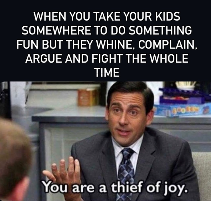 WHEN YOU TAKE YOUR KIDS SOMEWHERE TO DO SOMETHING FUN BUT THEY WHINE, COMPLAIN, ARGUE AND FIGHT THE WHOLE TIME You are a thief of joy.