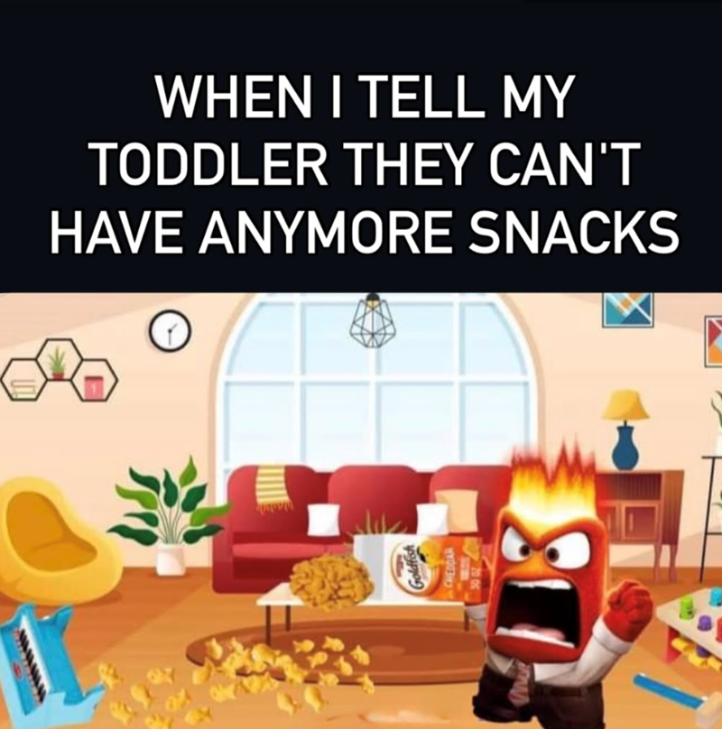 WHEN I TELL MY TODDLER THEY CAN'T HAVE ANYMORE SNACKS Goldfish CHEDDAR 2006