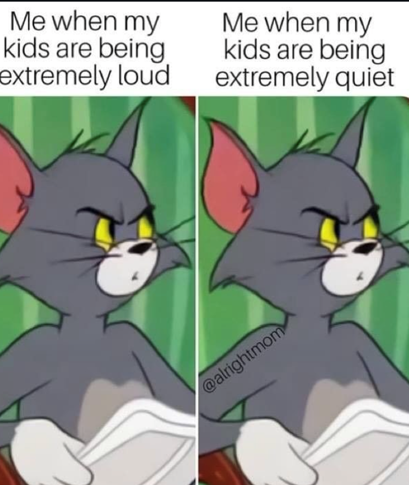 Me when my kids are being extremely loud Me when my kids are being extremely quiet @alrightmom