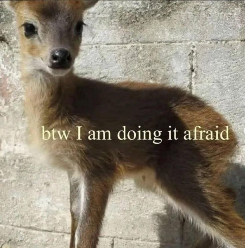 btw I am doing it afraid