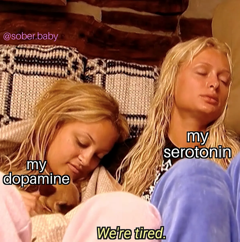 @sober.baby my dopamine We're tired. my serotonin