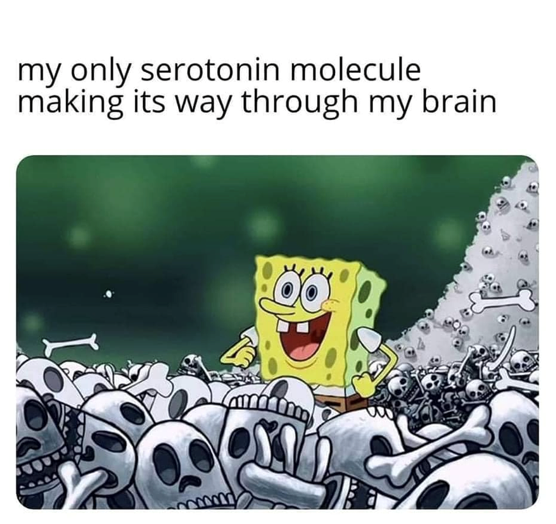 my only serotonin molecule making its way through my brain