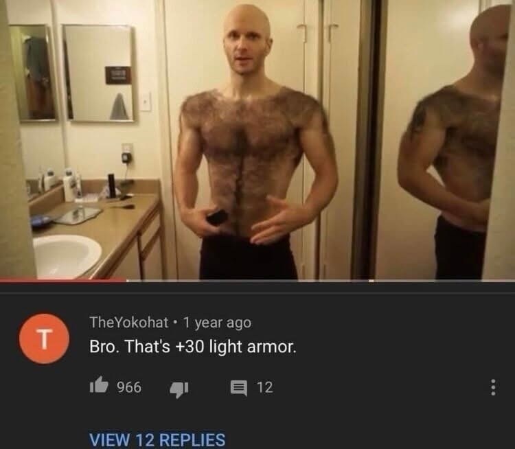 T TheYokohat 1 year ago Bro. That's +30 light armor. 966 12 VIEW 12 REPLIES