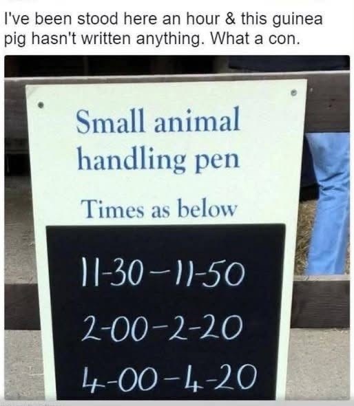 I've been stood here an hour & this guinea pig hasn't written anything. What a con. Small animal handling pen Times as below 11-30-11-50 2-00-2-20 4-00-4-20