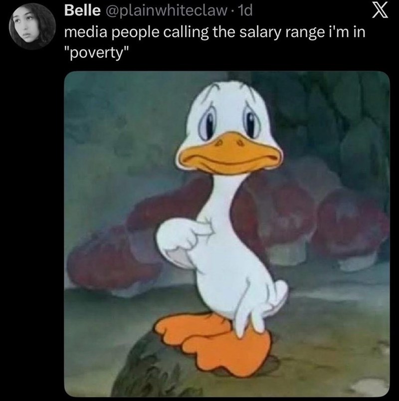 Belle @plainwhiteclaw 1d media people calling the salary range i'm in "poverty" X