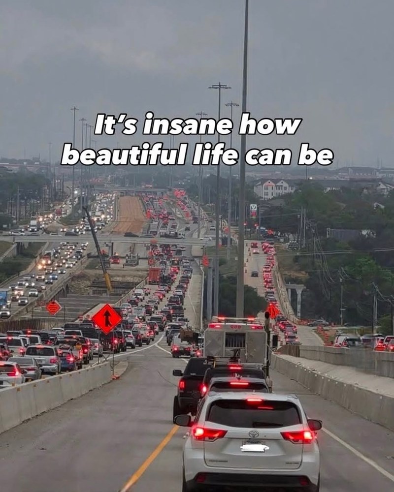 It's insane how beautiful life can be 60