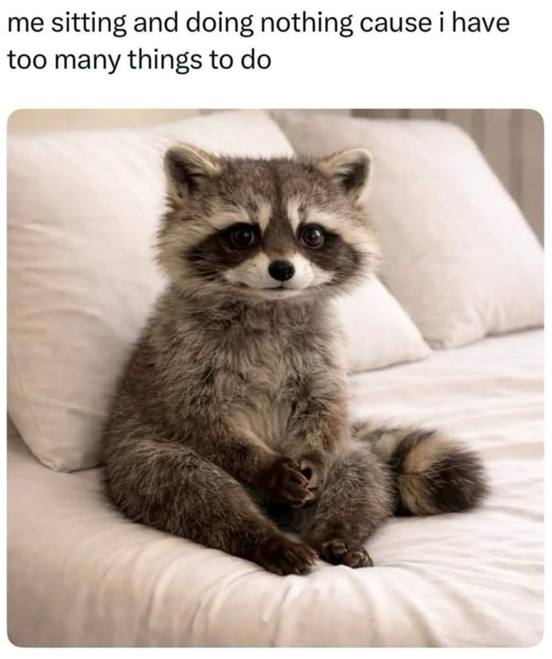 me sitting and doing nothing cause i have too many things to do