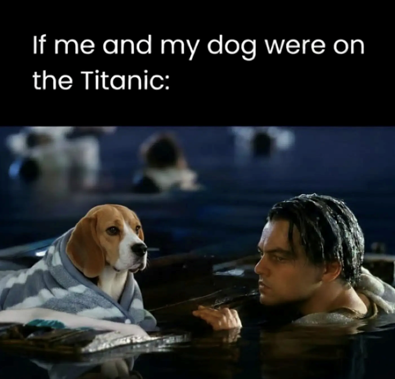 If me and my dog were on the Titanic: