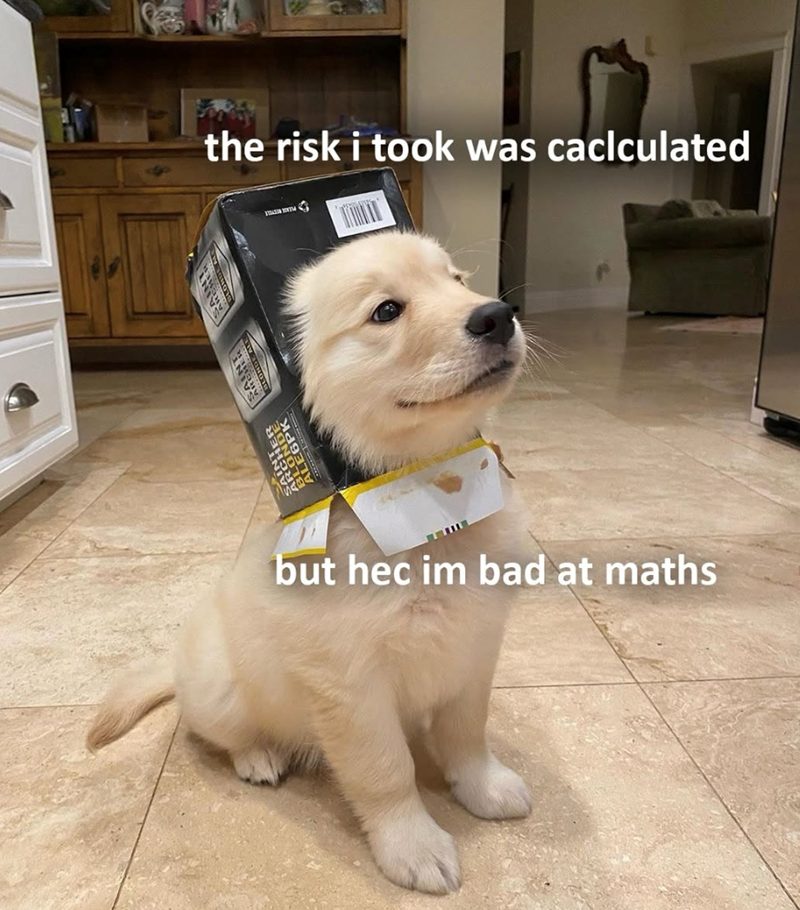 CHER the risk i took was caclculated but hec im bad at maths
