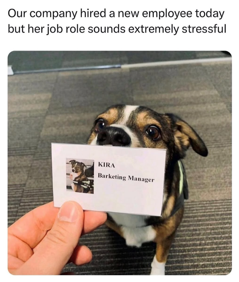 Our company hired a new employee today but her job role sounds extremely stressful KIRA Barketing Manager