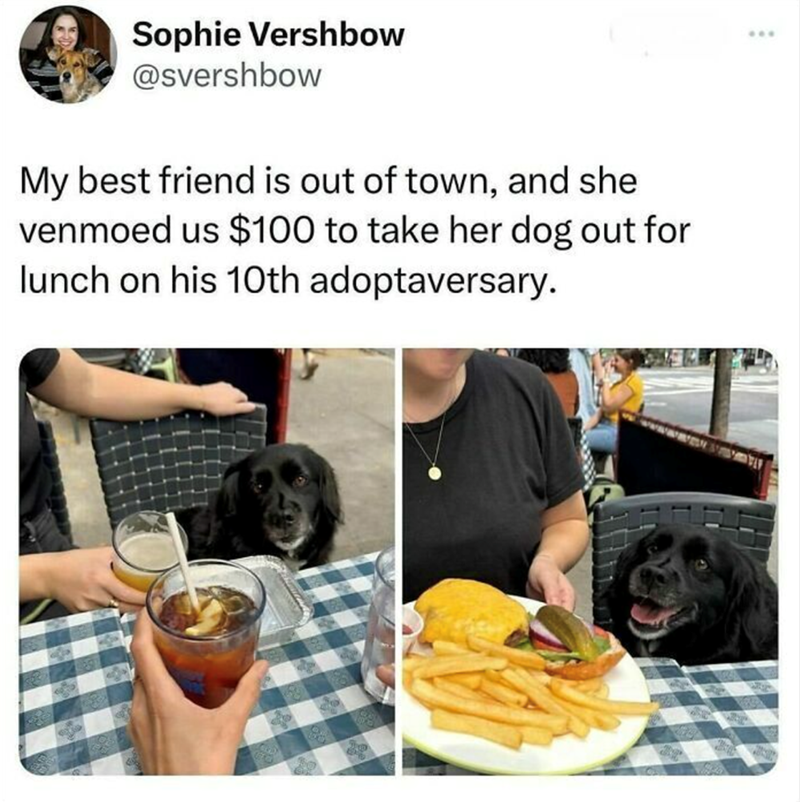 Sophie Vershbow @svershbow My best friend is out of town, and she venmoed us $100 to take her dog out for lunch on his 10th adoptaversary. ***