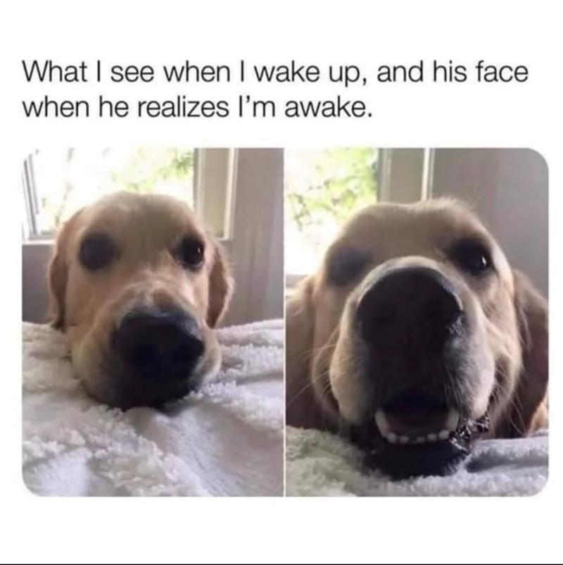 What I see when I wake up, and his face when he realizes I'm awake.