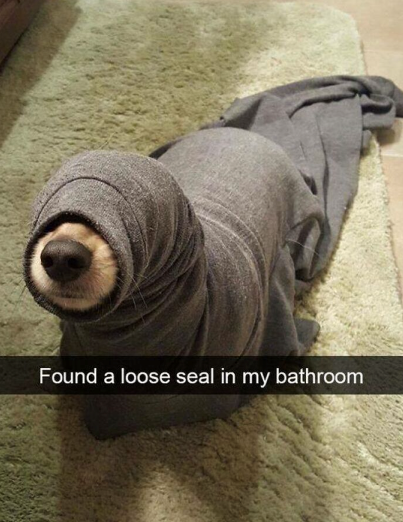 Found a loose seal in my bathroom