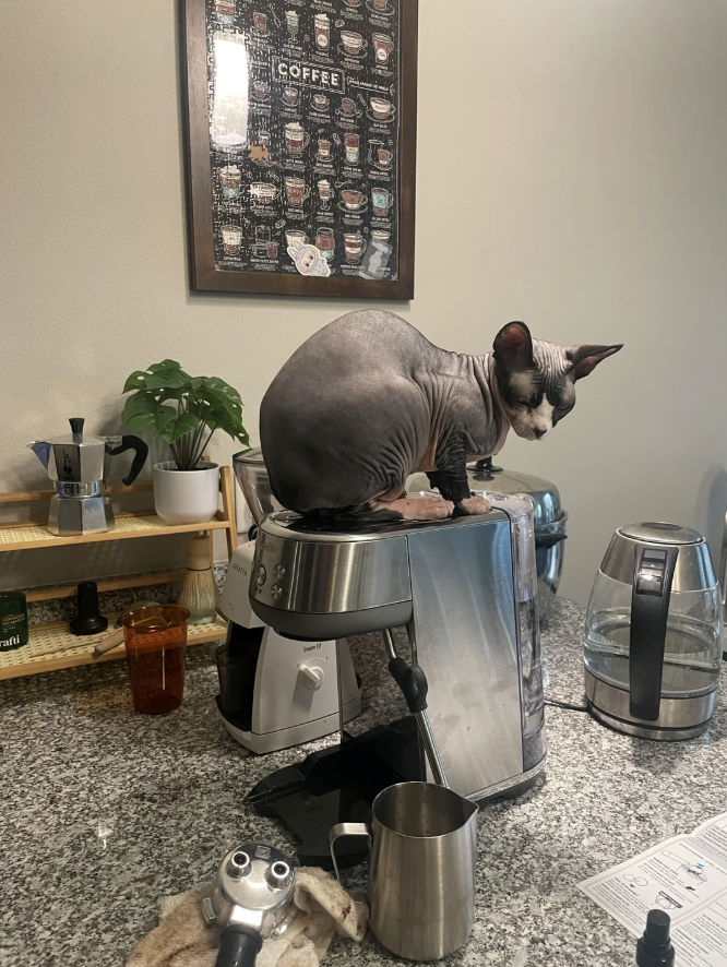 rafti COFFEE ita