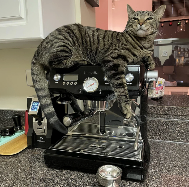 085 BE SPECIALITA POWER Breville MANUAL