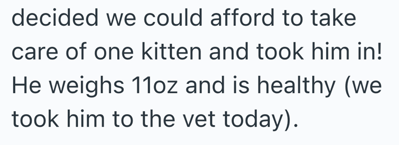 decided we could afford to take care of one kitten and took him in! He weighs 11oz and is healthy (we took him to the vet today).