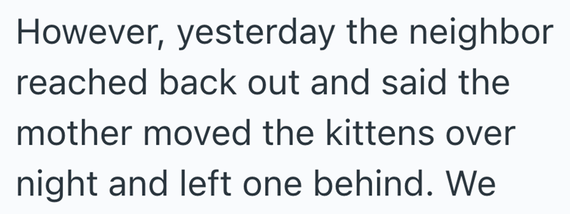However, yesterday the neighbor reached back out and said the mother moved the kittens over night and left one behind. We