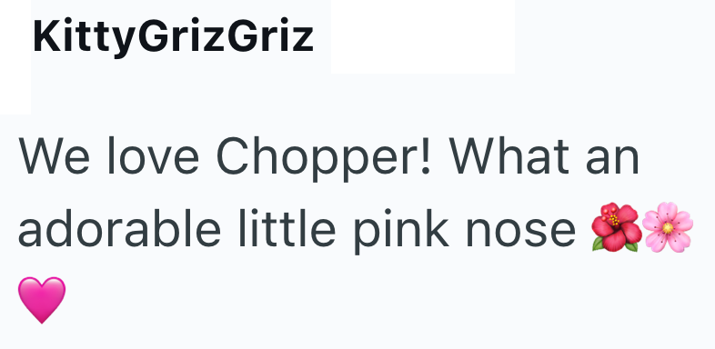 KittyGrizGriz We love Chopper! What an adorable little pink nose