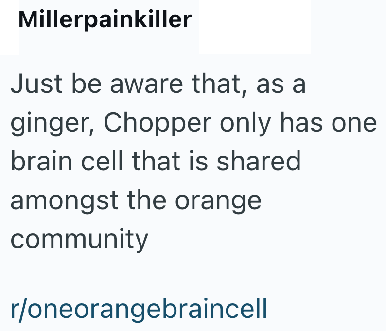Millerpainkiller Just be aware that, as a ginger, Chopper only has one brain cell that is shared amongst the orange community r/oneorangebraincell