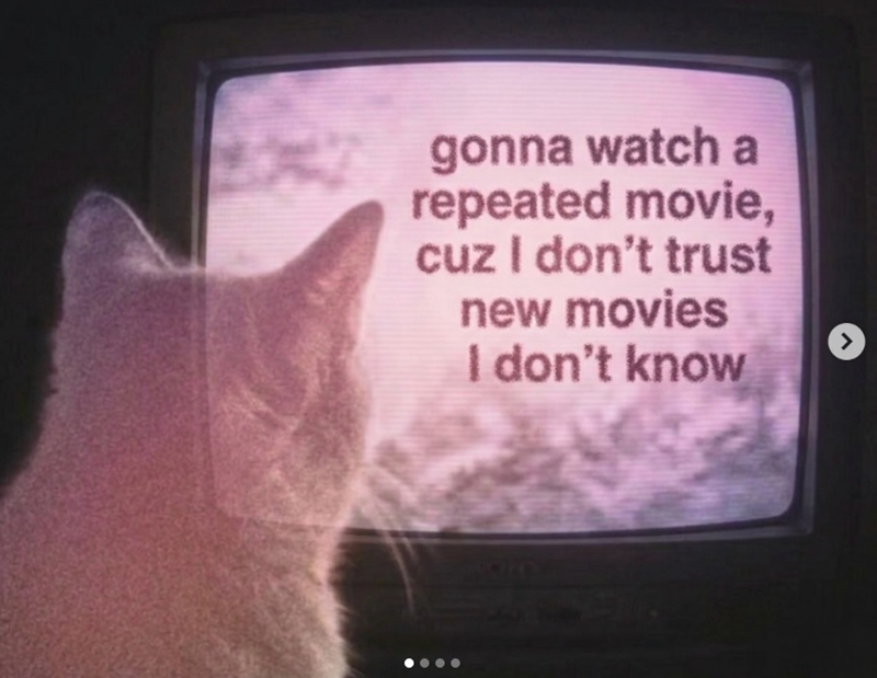 gonna watch a repeated movie, cuz I don't trust new movies I don't know >