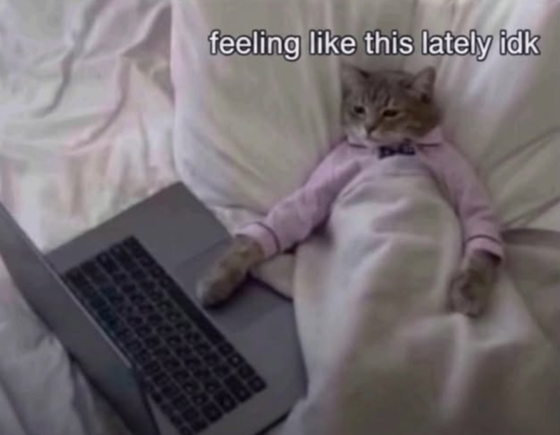 feeling like this lately idk AQ