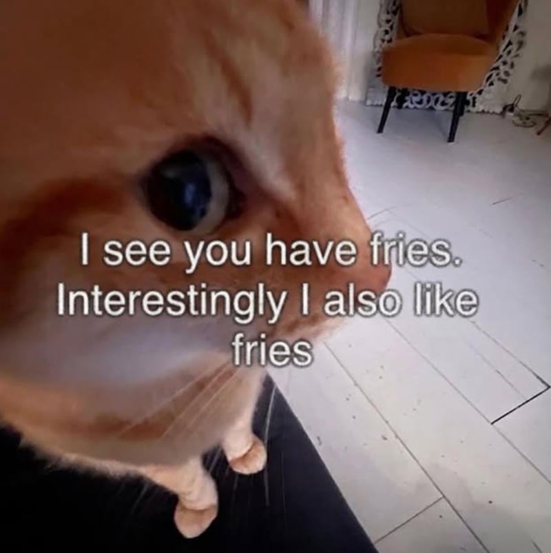 I see you have fries. Interestingly I also like fries