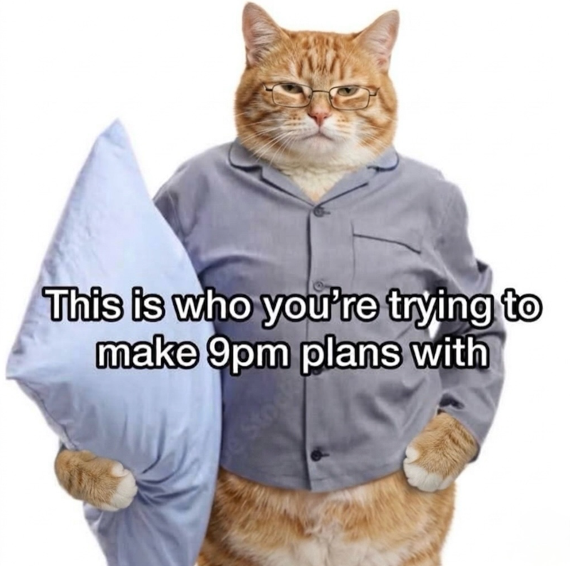 This is who you're trying to make 9pm plans with Sto