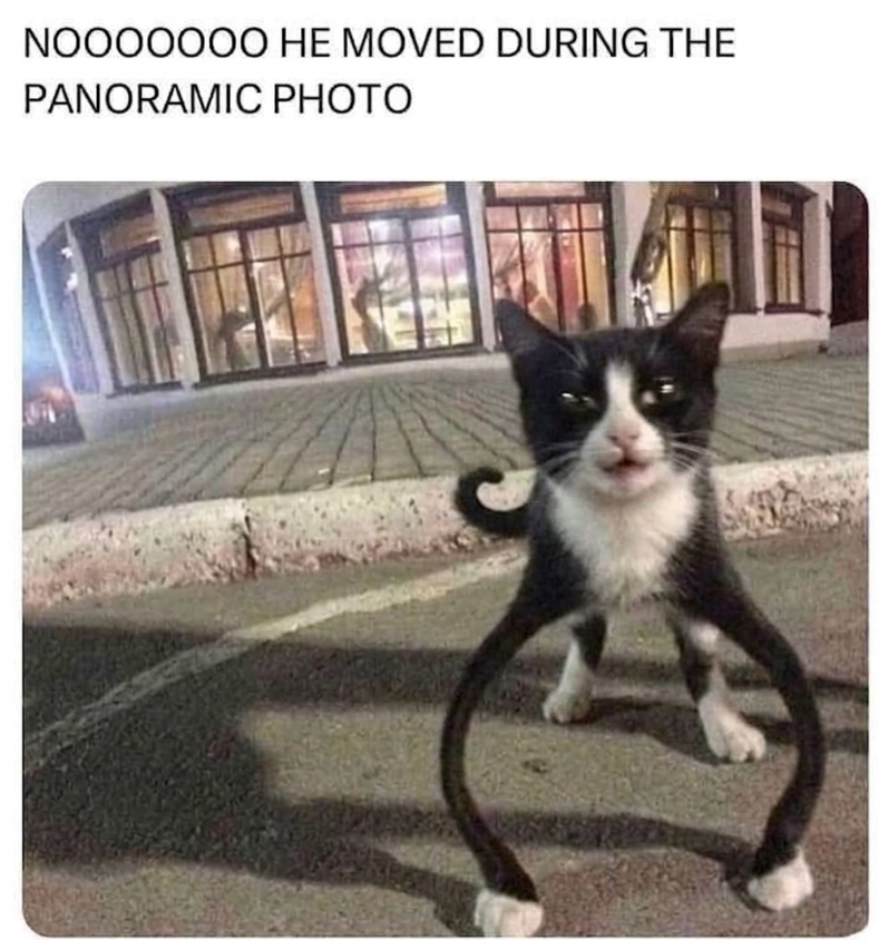 NOOOOOOO HE MOVED DURING THE PANORAMIC PHOTO