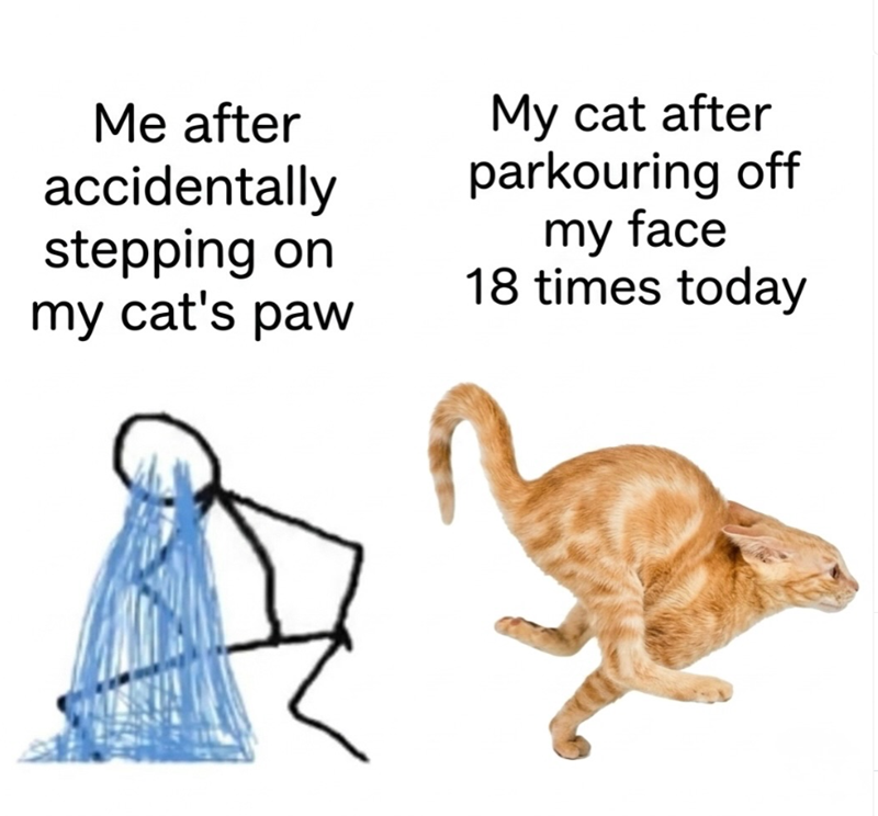 Me after accidentally stepping on my cat's paw My cat after parkouring off my face 18 times today