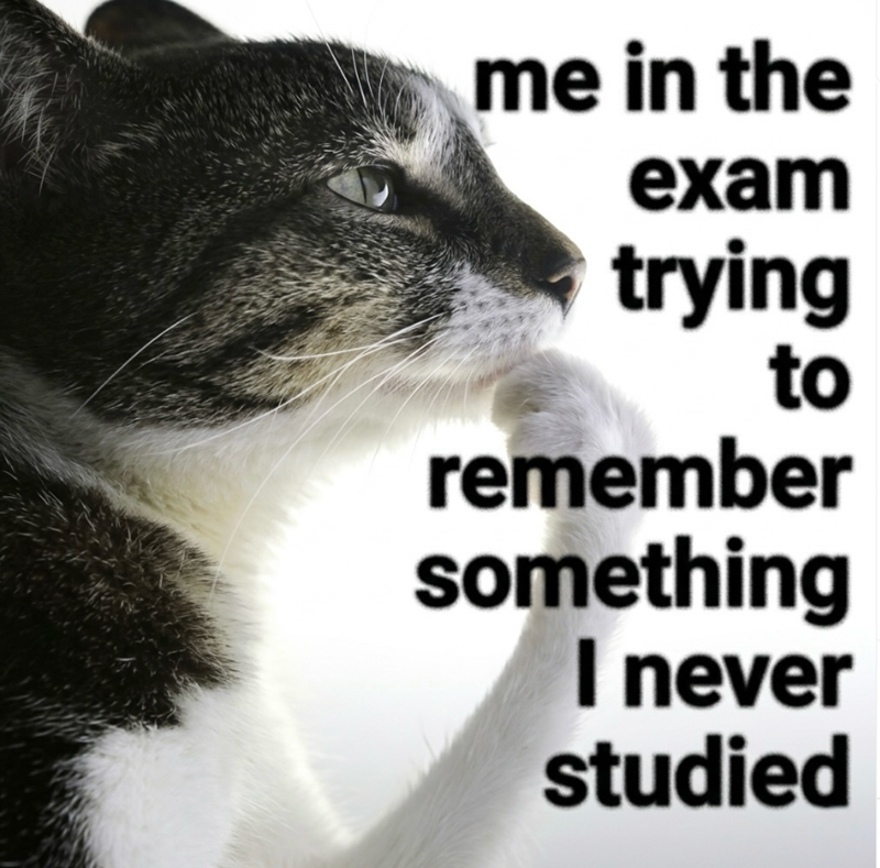 me in the exam trying to remember something I never studied