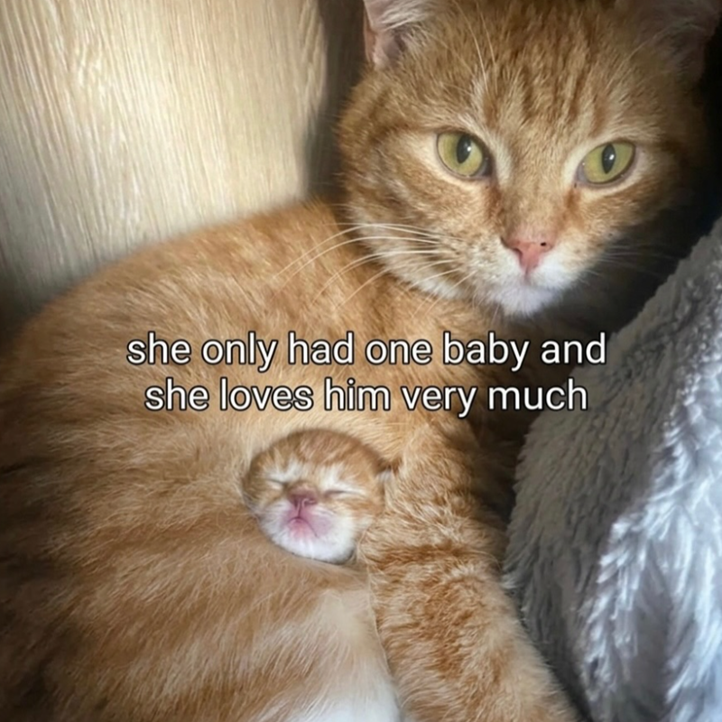 she only had one baby and she loves him very much