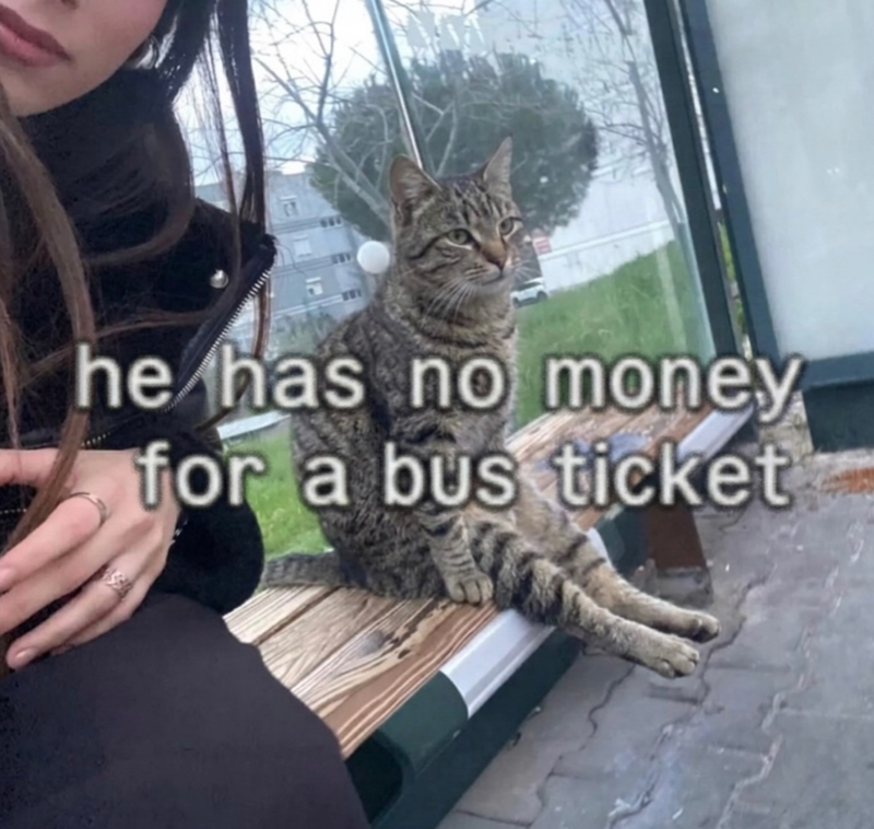 he has no money for a bus ticket