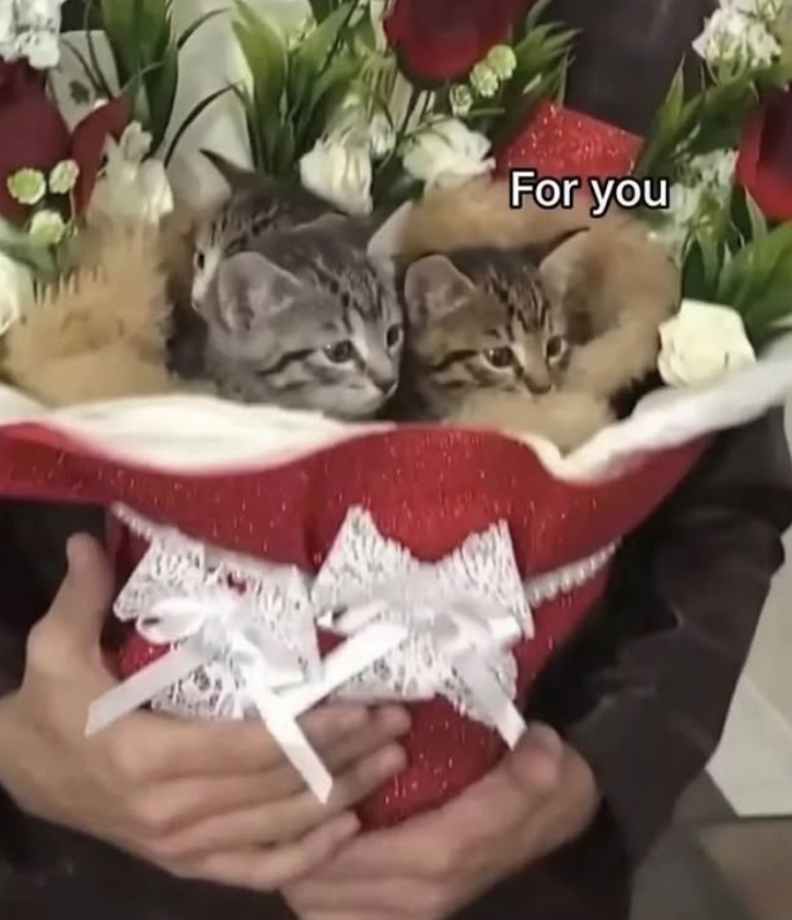 For you