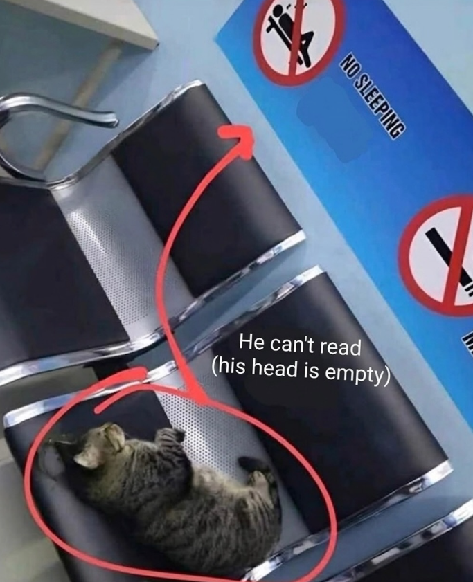 NO SLEEPING He can't read (his head is empty)