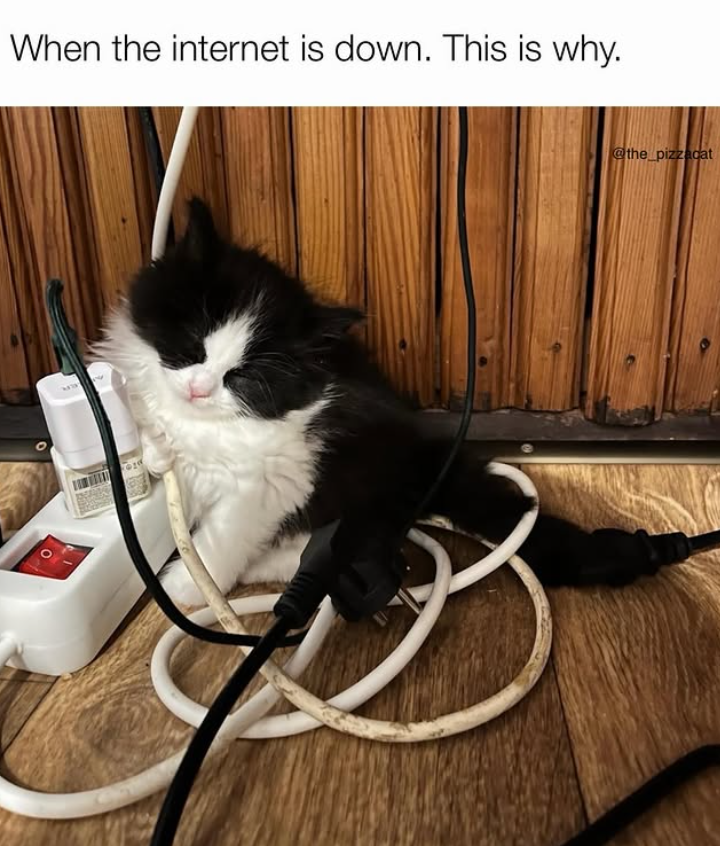 When the internet is down. This is why. @the_pizzacat