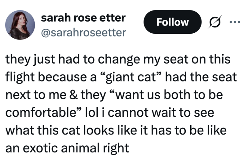 sarah rose etter @sarahroseetter Follow ... they just had to change my seat on this flight because a "giant cat" had the seat next to me & they "want us both to be comfortable" lol i cannot wait to see what this cat looks like it has to be like an exotic animal right
